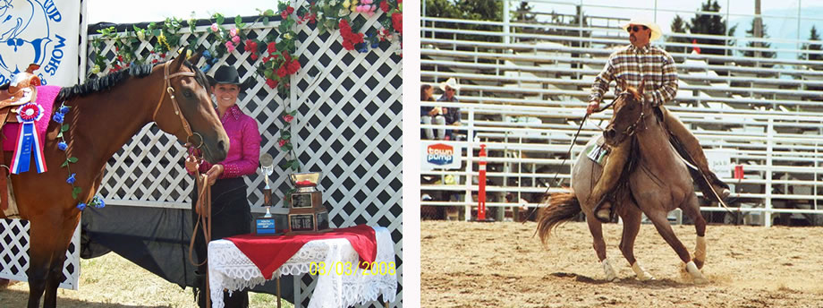 Cole Redhorse Photo Gallery of Horses