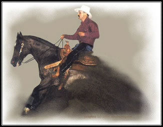Cole Redhorse Champion Stallion - All Reddy Smart